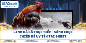 Link Đá Gà Trực Tiếp - Sảnh Cược Chiến Kê Uy Tín Tại 8XBET