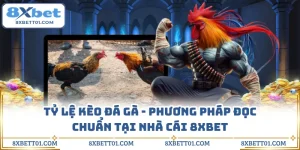 Tỷ Lệ Kèo Đá Gà - Phương Pháp Đọc Chuẩn Tại Nhà Cái 8XBET