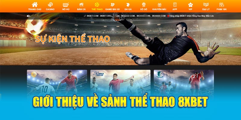 Giới thiệu về sảnh thể thao 8XBET